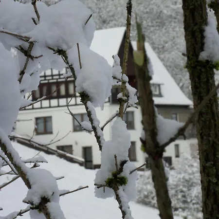 Holiday home Kurhaus Am Nordenau