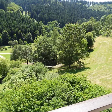 Kurhaus Am Nordenau Feriehus