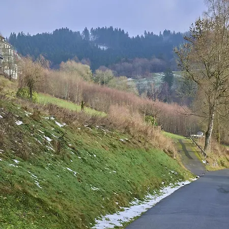 Σπίτι διακοπών Kurhaus Am Nordenau *